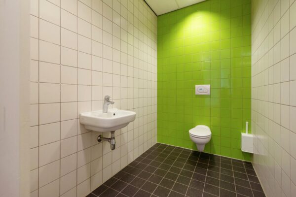 Toiletruimte met groene en witte wandtegels, een wandcloset en een wandwastafel in het Harriet Freezerhof.